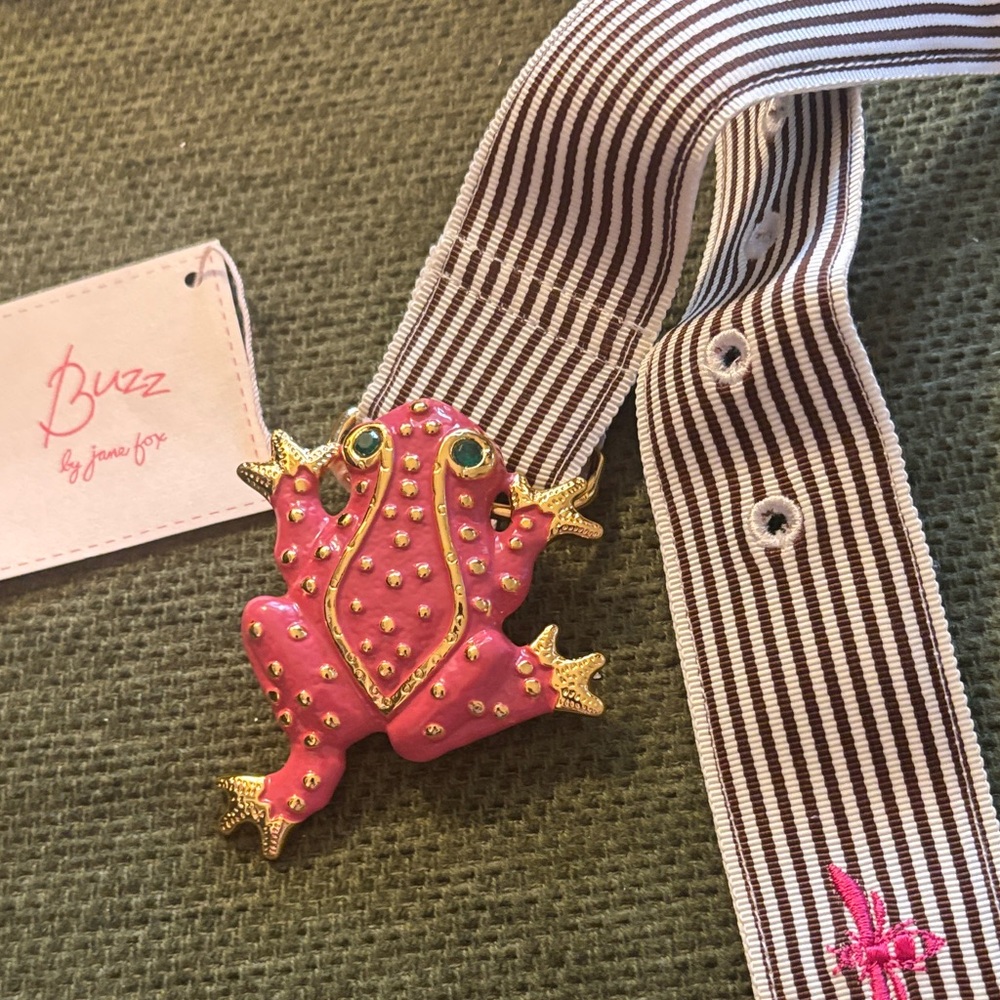 Pink enamel frog ribbon belt